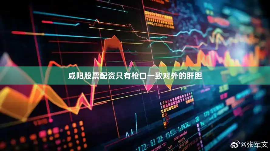 咸阳股票配资只有枪口一致对外的肝胆